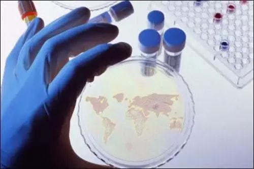 最新預測報告 未來全球石墨烯的九大發(fā)展趨勢